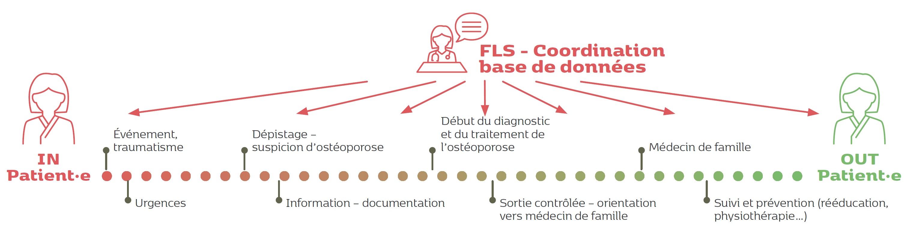 FLS - Coordination base de données